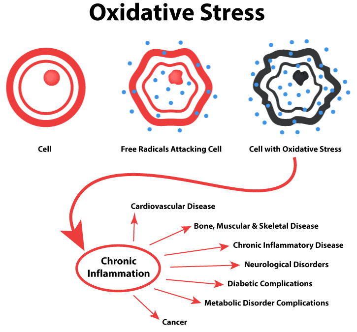 Red Light Therapy - Northvilla Beauty Spa